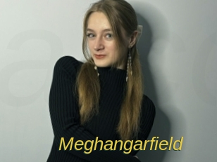 Meghangarfield