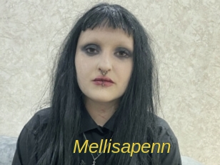 Mellisapenn