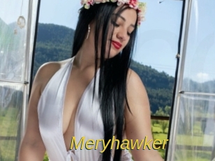 Meryhawker