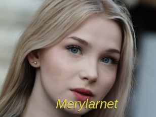 Merylarnet