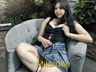 Milacollie