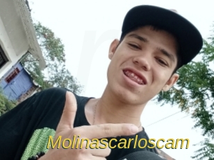 Molinascarloscam