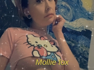 Mollie_fox