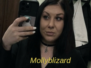 Mollyblizard