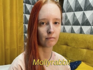 Mollyrabbit