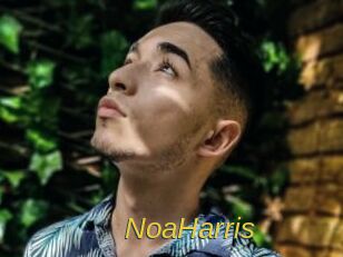 NoaHarris