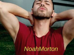 NoahMorton