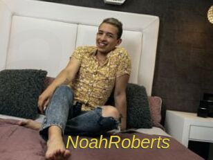 NoahRoberts