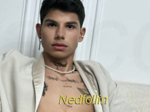 Nedfollin