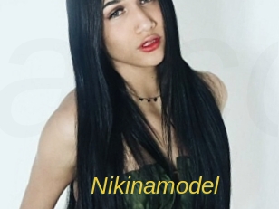 Nikinamodel