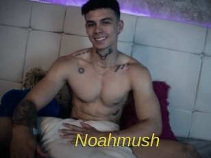 Noahmush