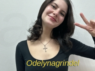 Odelynagrindel