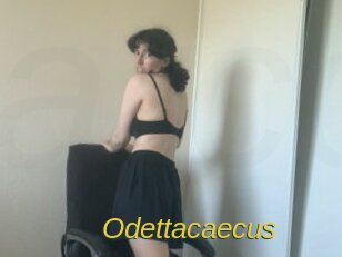 Odettacaecus