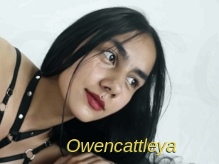 Owencattleya