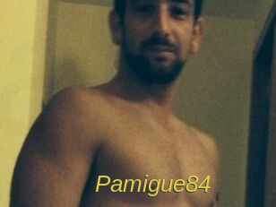 Pamigue84