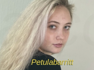 Petulabarritt