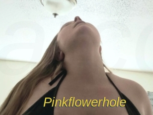 Pinkflowerhole