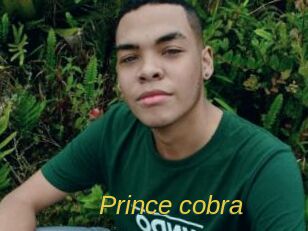 Prince_cobra