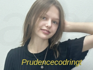 Prudencecodringt