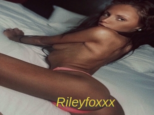 Rileyfoxxx