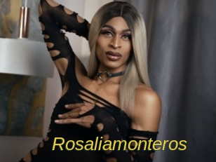 Rosaliamonteros