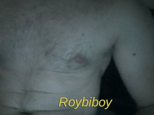 Roybiboy