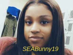 SEABunny19