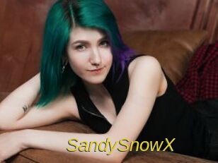 SandySnowX