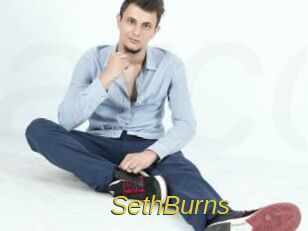 SethBurns