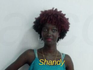 Shandy