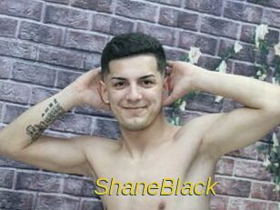 ShaneBlack