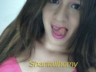 Shantallhorny