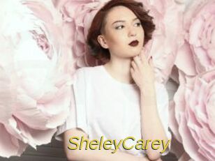 SheleyCarey