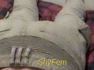 ShyFem