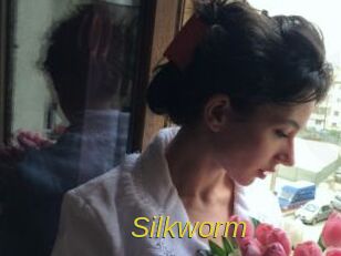 Silkworm