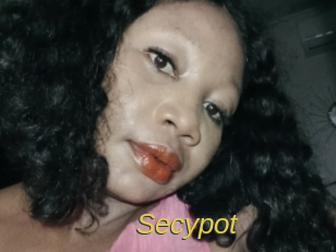 Secypot