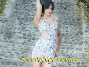 Shadiabigmonster