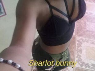 Sharlot_bunny