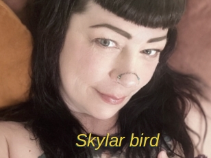 Skylar_bird