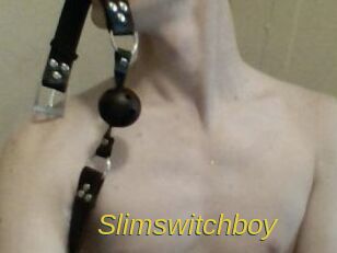 Slimswitchboy