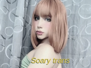 Soary_trans