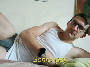 Sonicegay