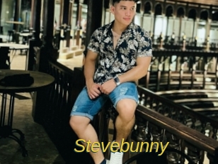 Stevebunny