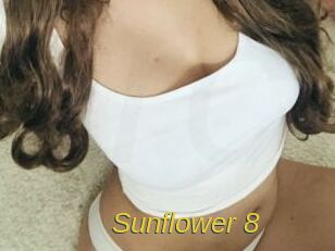 Sunflower_8