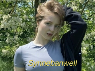 Synnebanwell