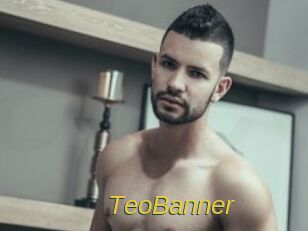 TeoBanner