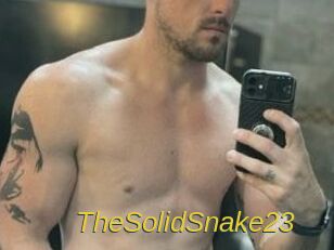 TheSolidSnake23