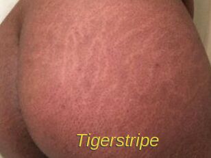 Tigerstripe