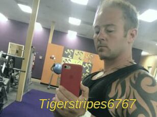 Tigerstripes6767