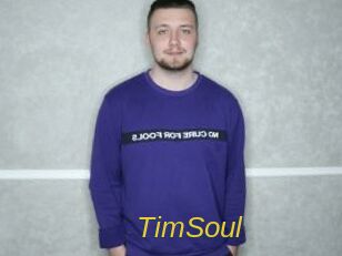 TimSoul